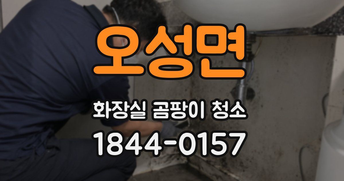 오성면 화장실 곰팡이 청소