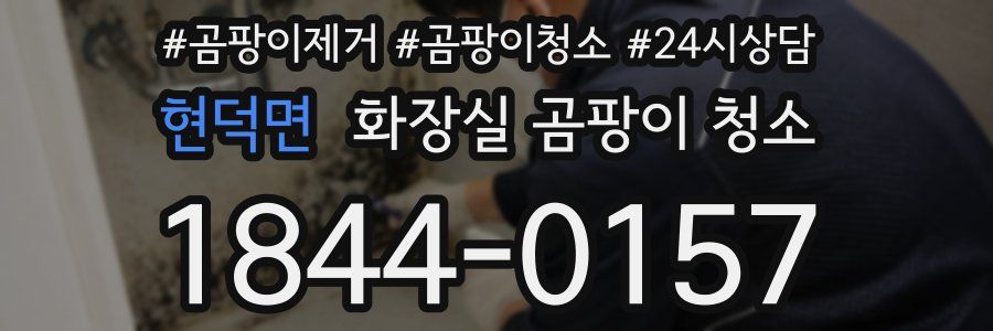 현덕면 화장실 곰팡이 청소