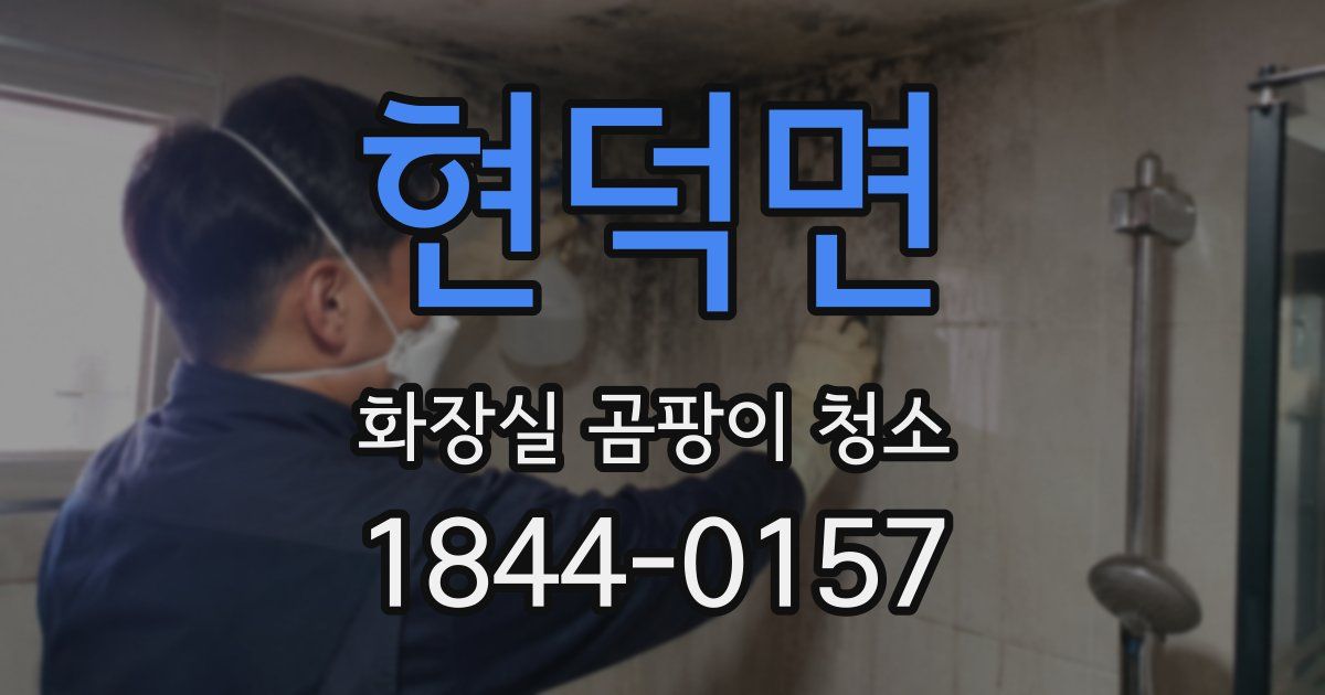 현덕면 화장실 곰팡이 청소