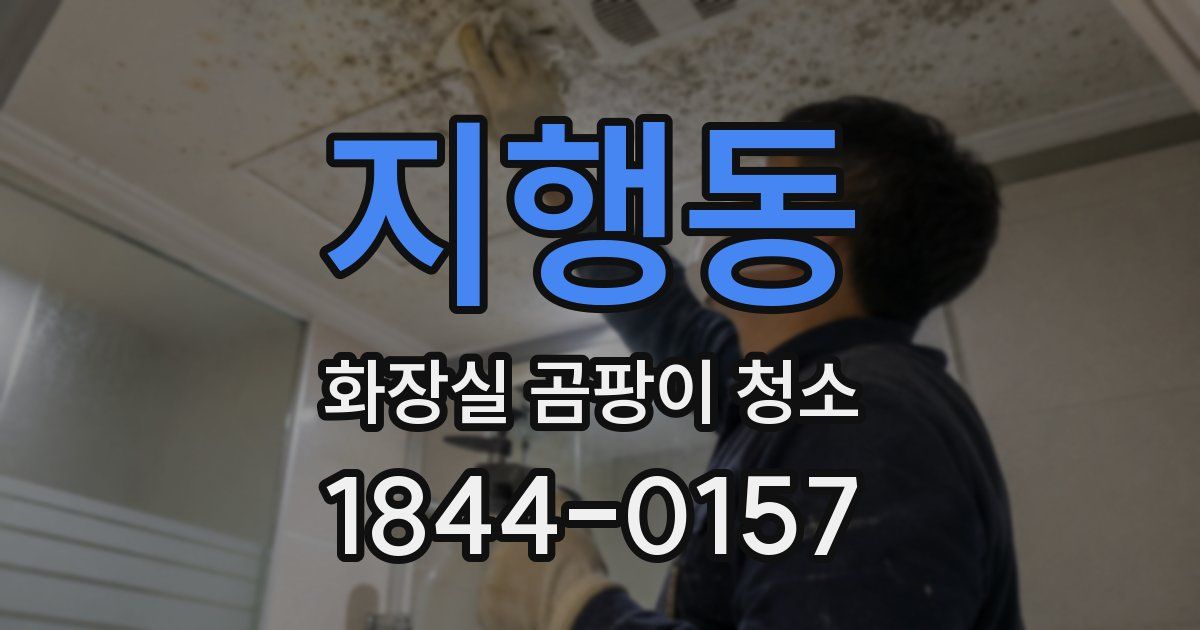 지행동 화장실 곰팡이 청소