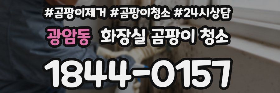 광암동 화장실 곰팡이 청소