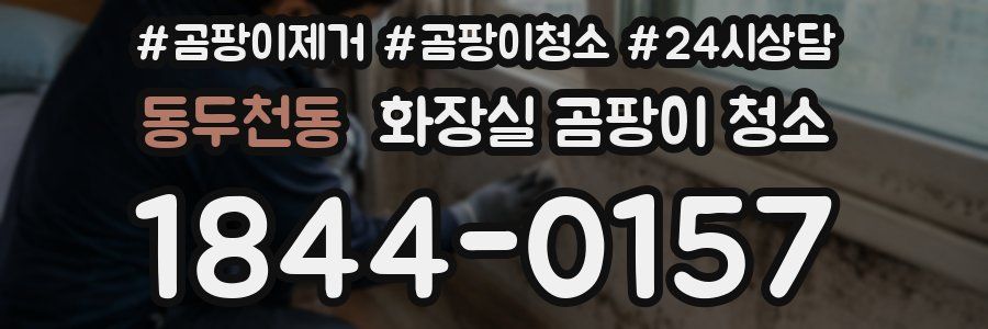 동두천동 화장실 곰팡이 청소