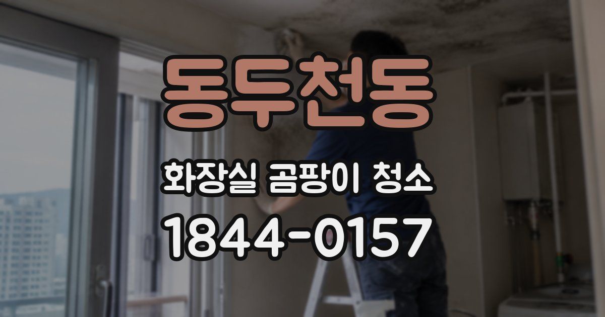 동두천동 화장실 곰팡이 청소