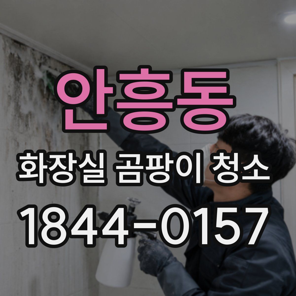 안흥동 화장실 곰팡이 청소