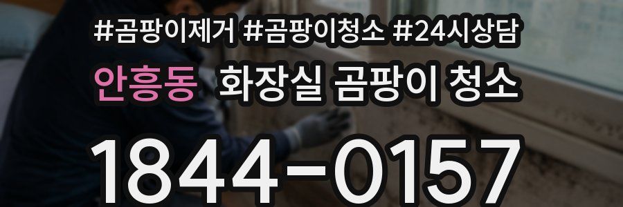 안흥동 화장실 곰팡이 청소