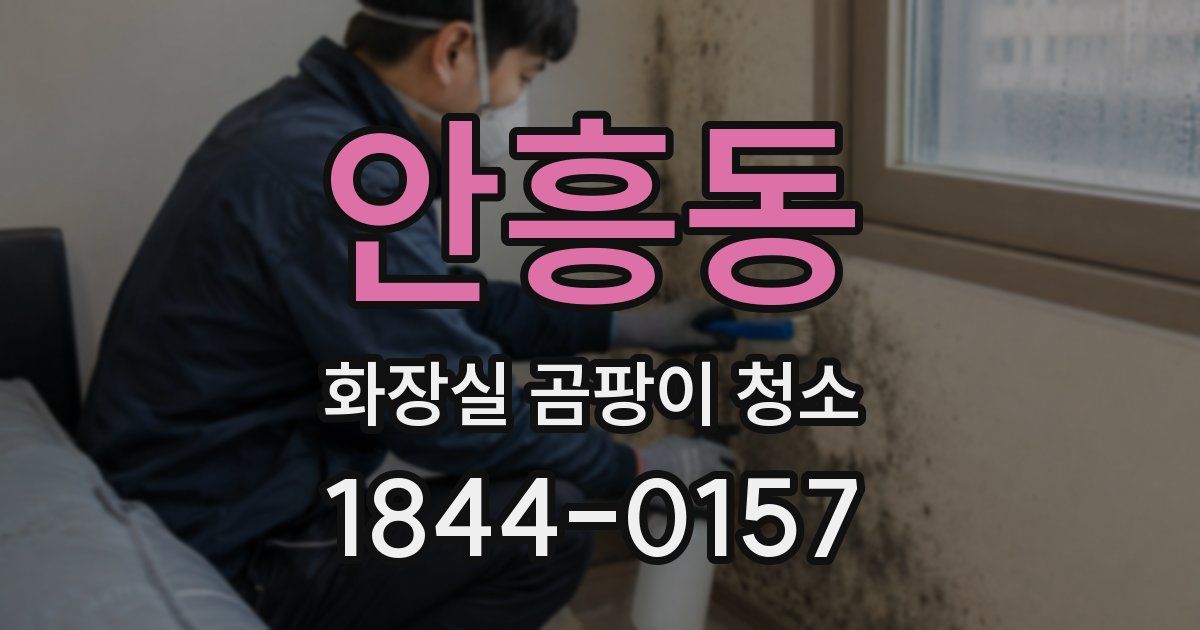 안흥동 화장실 곰팡이 청소