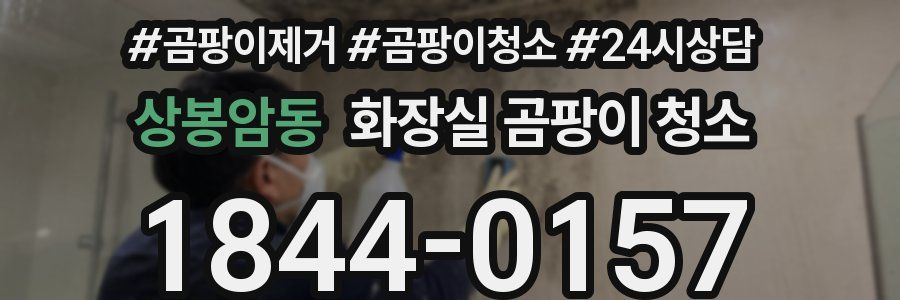 상봉암동 화장실 곰팡이 청소