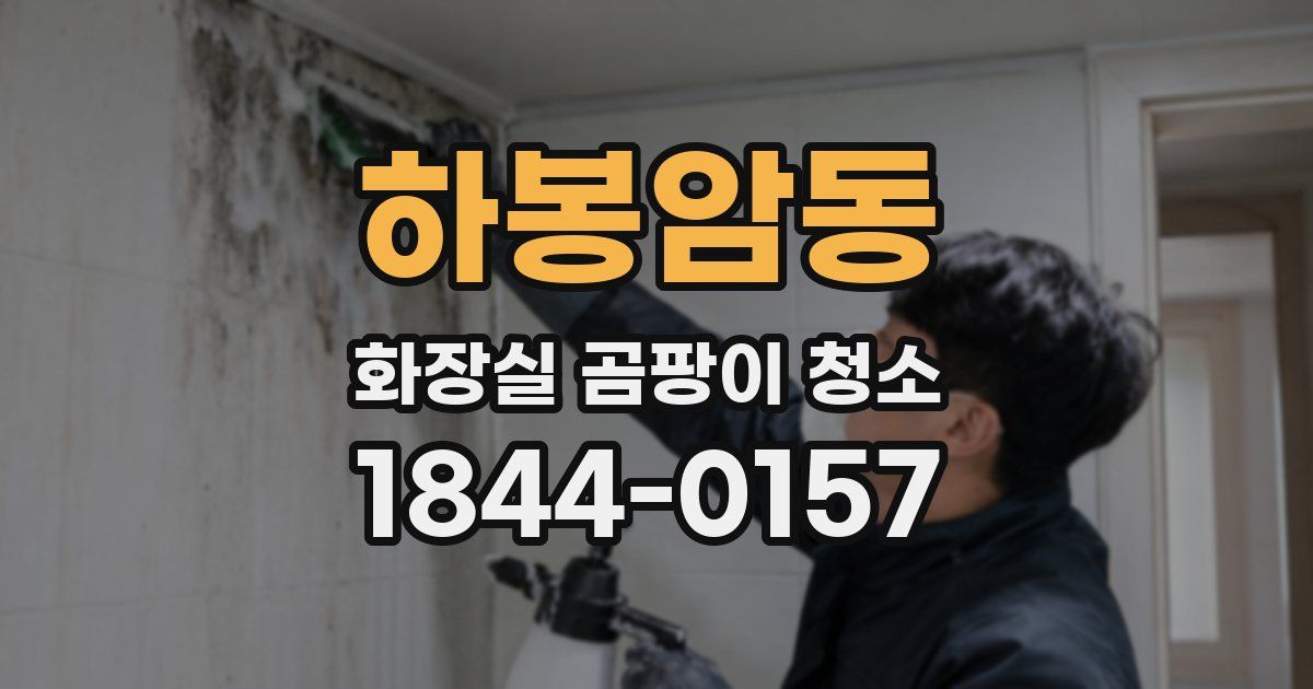 하봉암동 화장실 곰팡이 청소