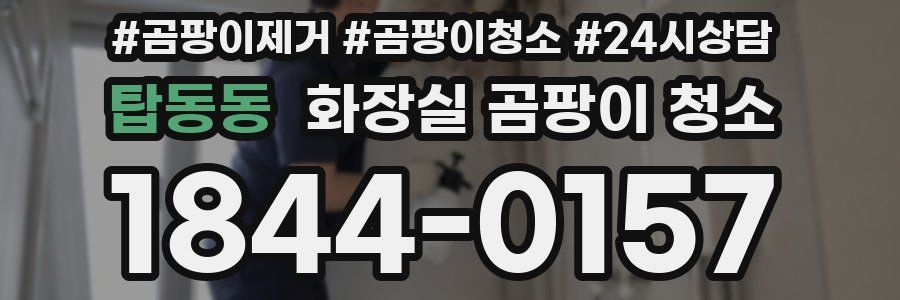 탑동동 화장실 곰팡이 청소