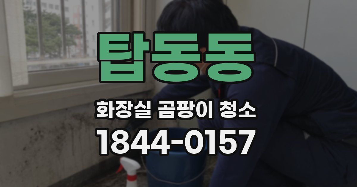 탑동동 화장실 곰팡이 청소