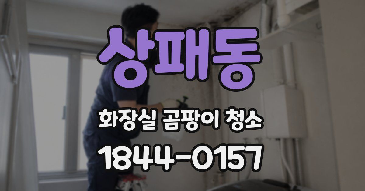 상패동 화장실 곰팡이 청소