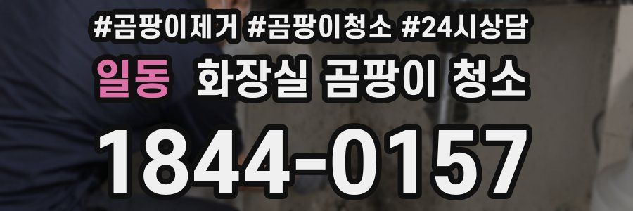 일동 화장실 곰팡이 청소