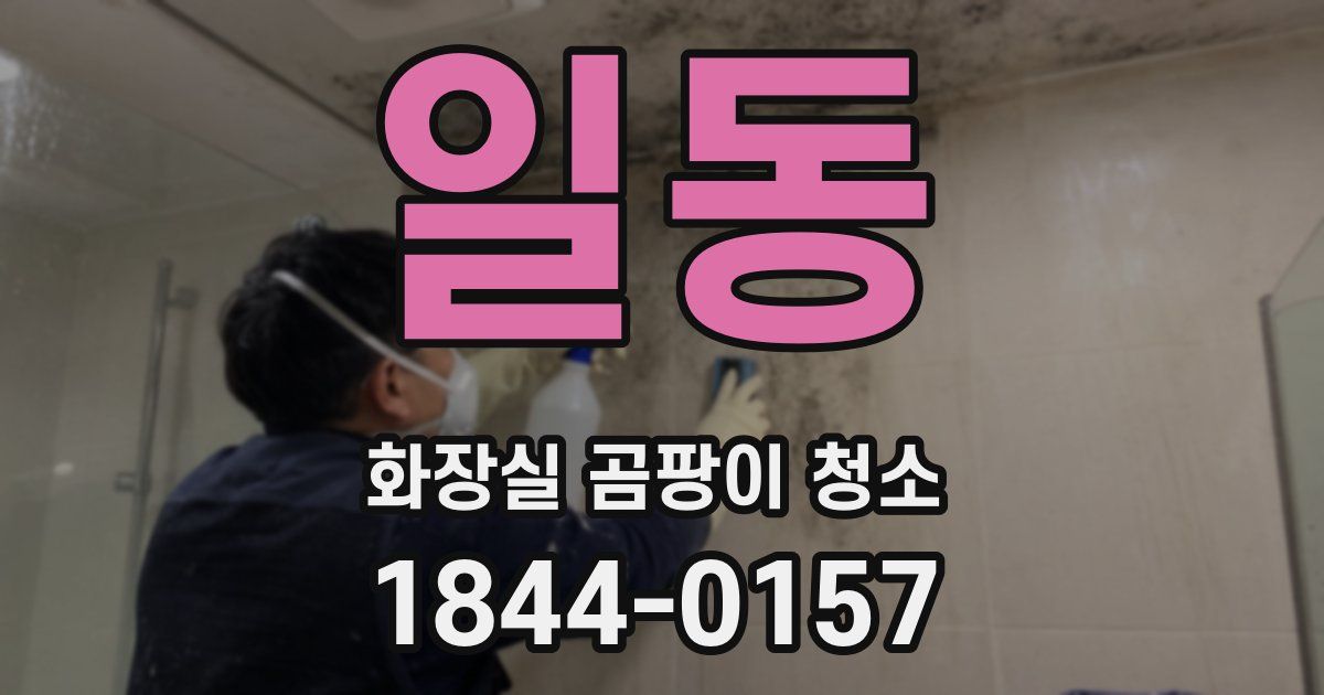 일동 화장실 곰팡이 청소
