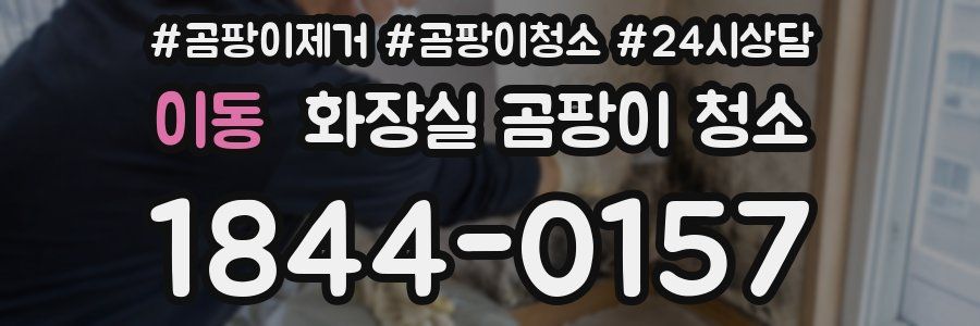 이동 화장실 곰팡이 청소