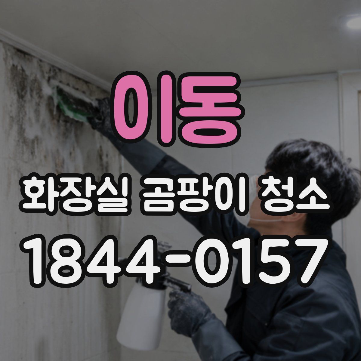이동 화장실 곰팡이 청소