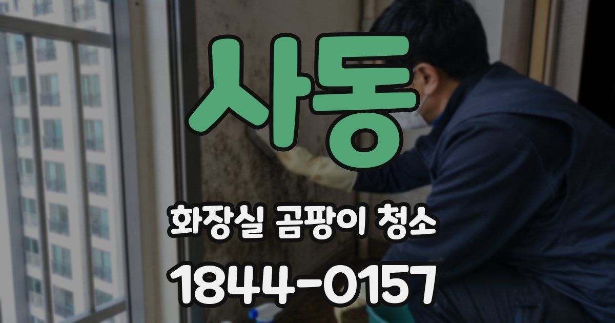 사동 화장실 곰팡이 청소