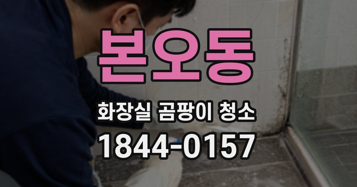 본오동 화장실 곰팡이 청소