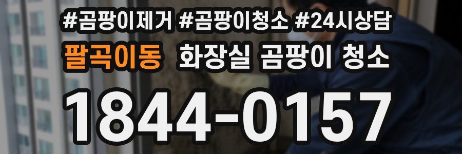 팔곡이동 화장실 곰팡이 청소