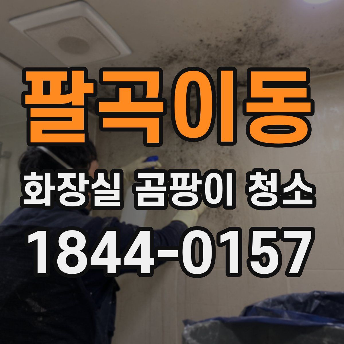 팔곡이동 화장실 곰팡이 청소