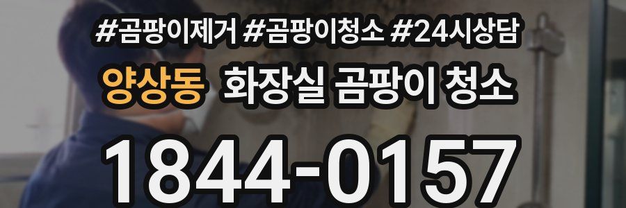 양상동 화장실 곰팡이 청소