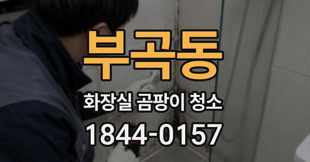 부곡동 화장실 곰팡이 청소