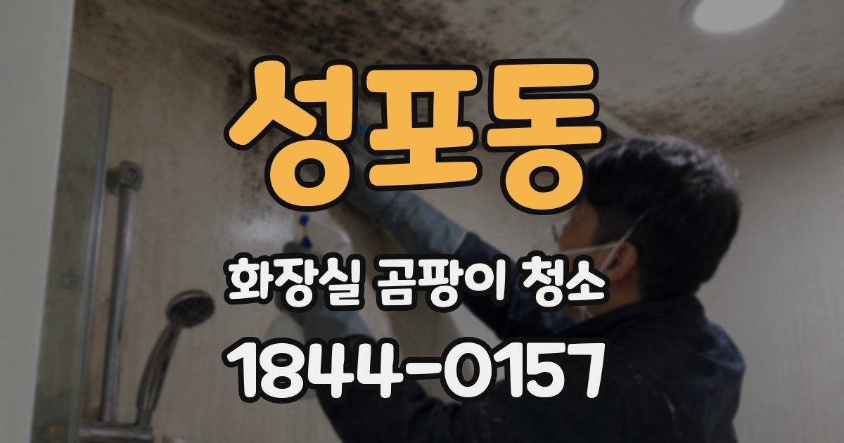 성포동 화장실 곰팡이 청소