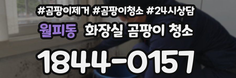 월피동 화장실 곰팡이 청소