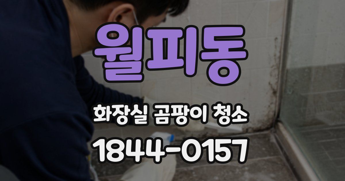 월피동 화장실 곰팡이 청소