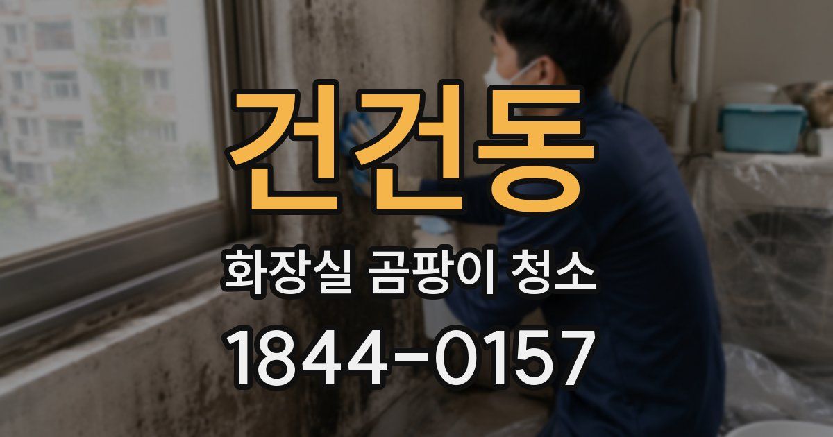 건건동 화장실 곰팡이 청소