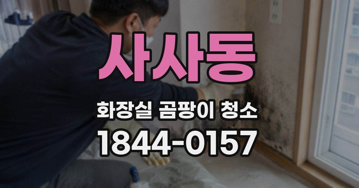 사사동 화장실 곰팡이 청소