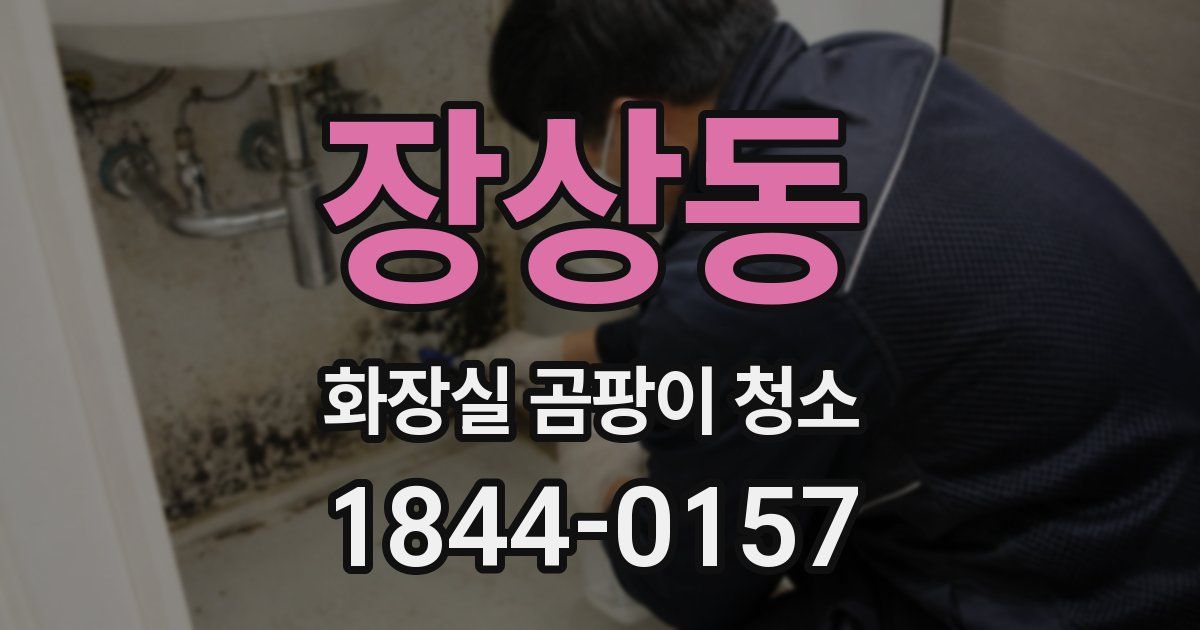 장상동 화장실 곰팡이 청소