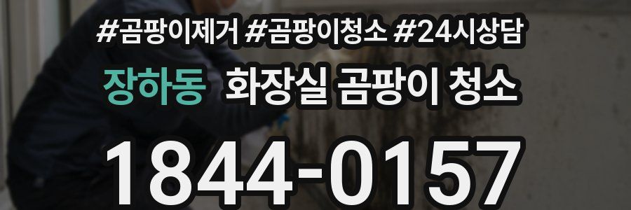 장하동 화장실 곰팡이 청소