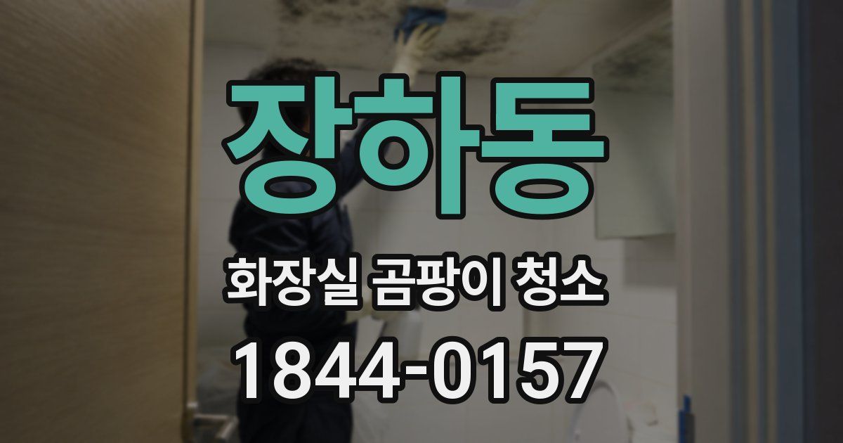 장하동 화장실 곰팡이 청소