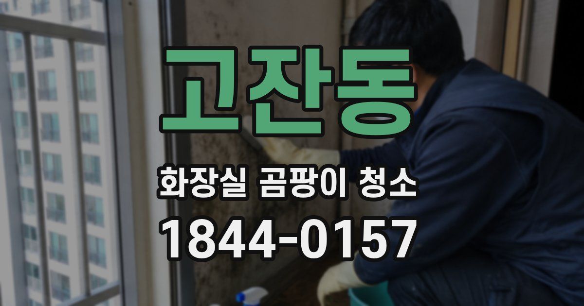고잔동 화장실 곰팡이 청소