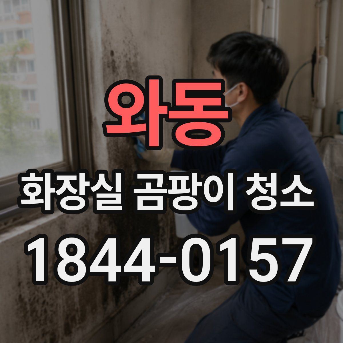 와동 화장실 곰팡이 청소