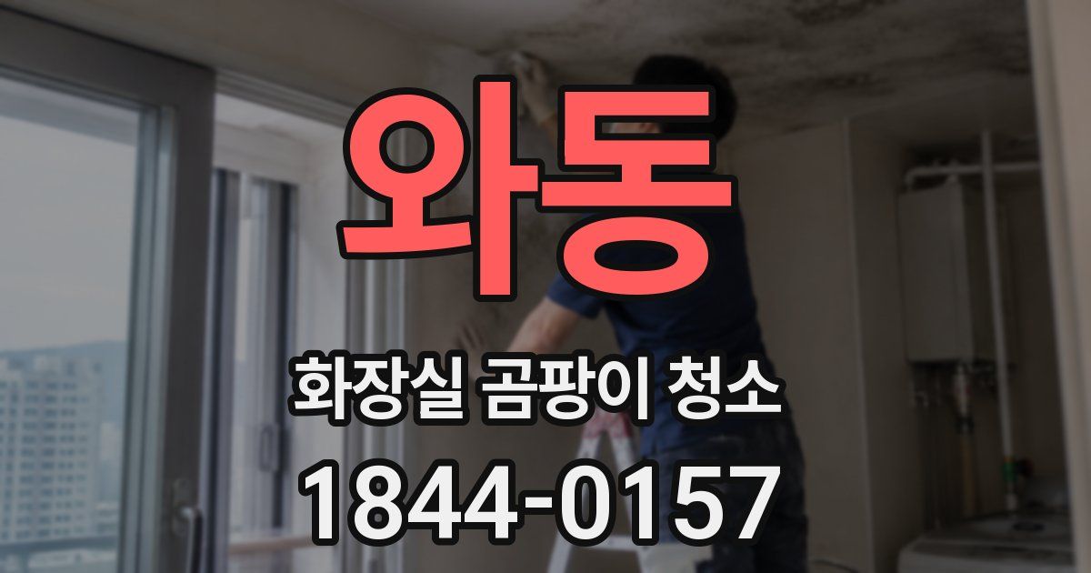 와동 화장실 곰팡이 청소