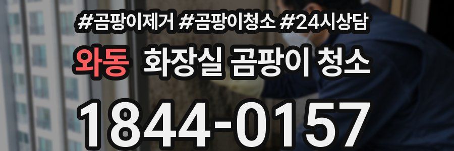 와동 화장실 곰팡이 청소