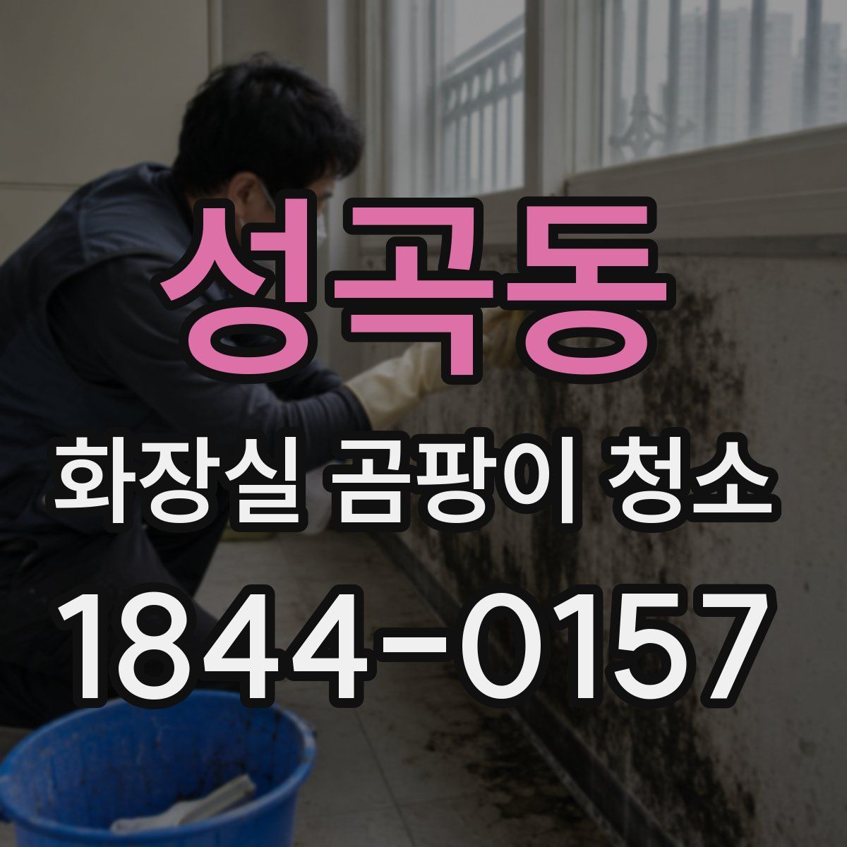 성곡동 화장실 곰팡이 청소