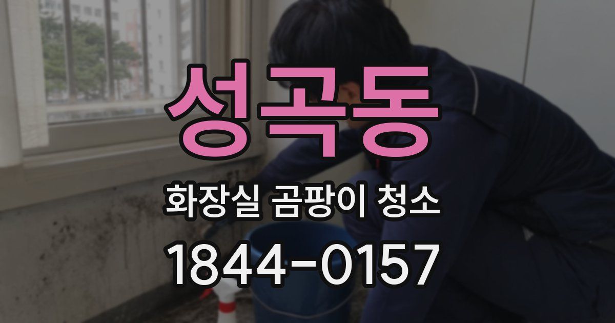 성곡동 화장실 곰팡이 청소