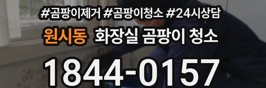원시동 화장실 곰팡이 청소
