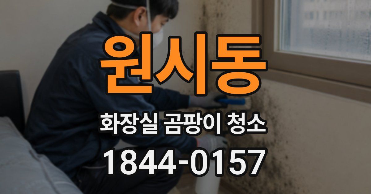 원시동 화장실 곰팡이 청소