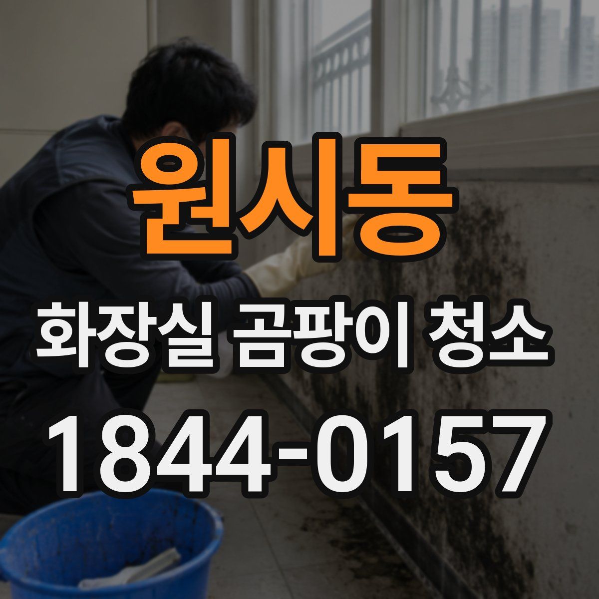 원시동 화장실 곰팡이 청소