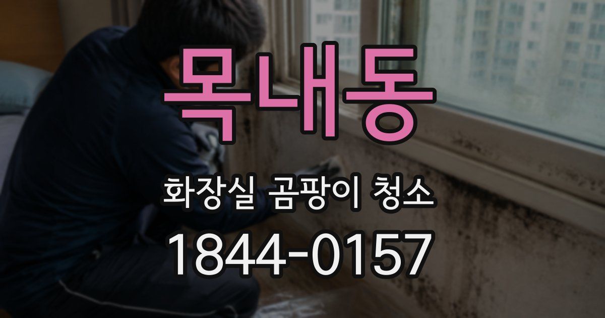 목내동 화장실 곰팡이 청소