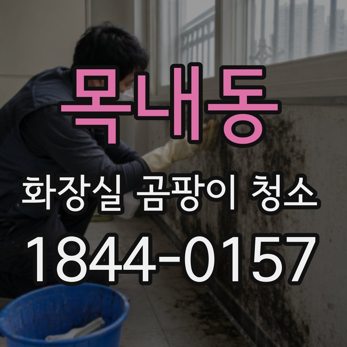 목내동 화장실 곰팡이 청소