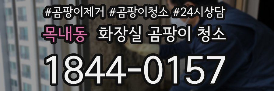 목내동 화장실 곰팡이 청소