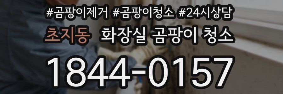 초지동 화장실 곰팡이 청소