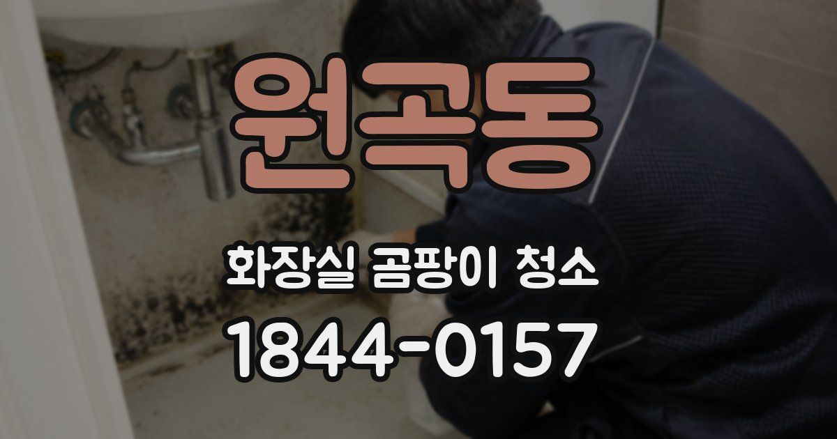 원곡동 화장실 곰팡이 청소