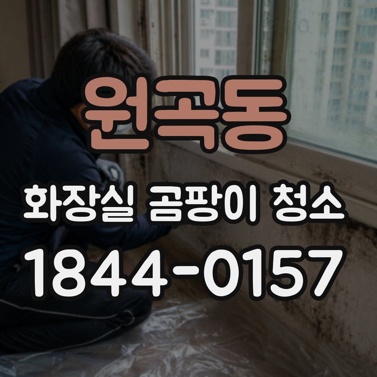 원곡동 화장실 곰팡이 청소