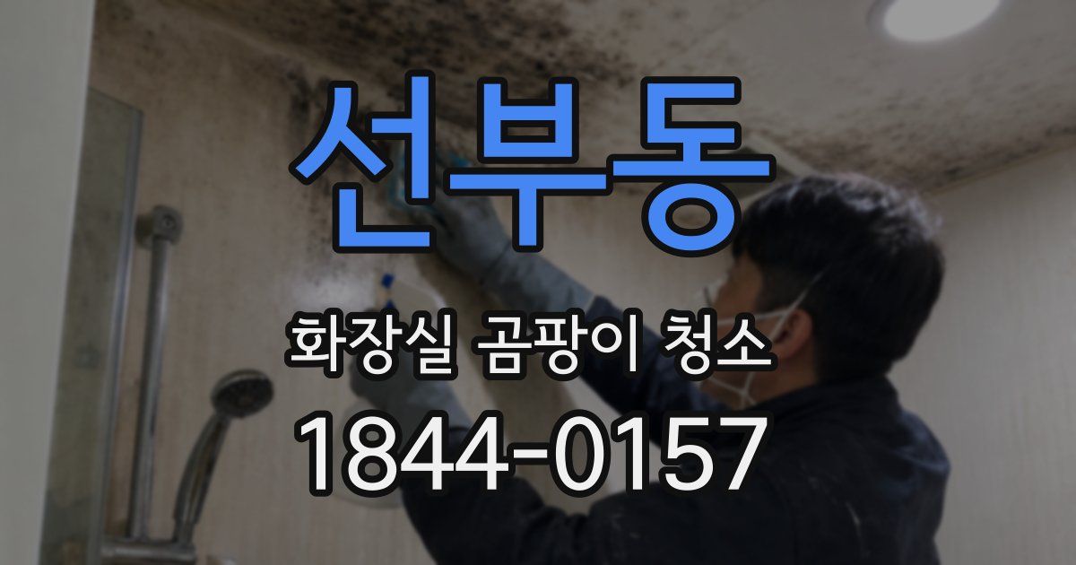 선부동 화장실 곰팡이 청소