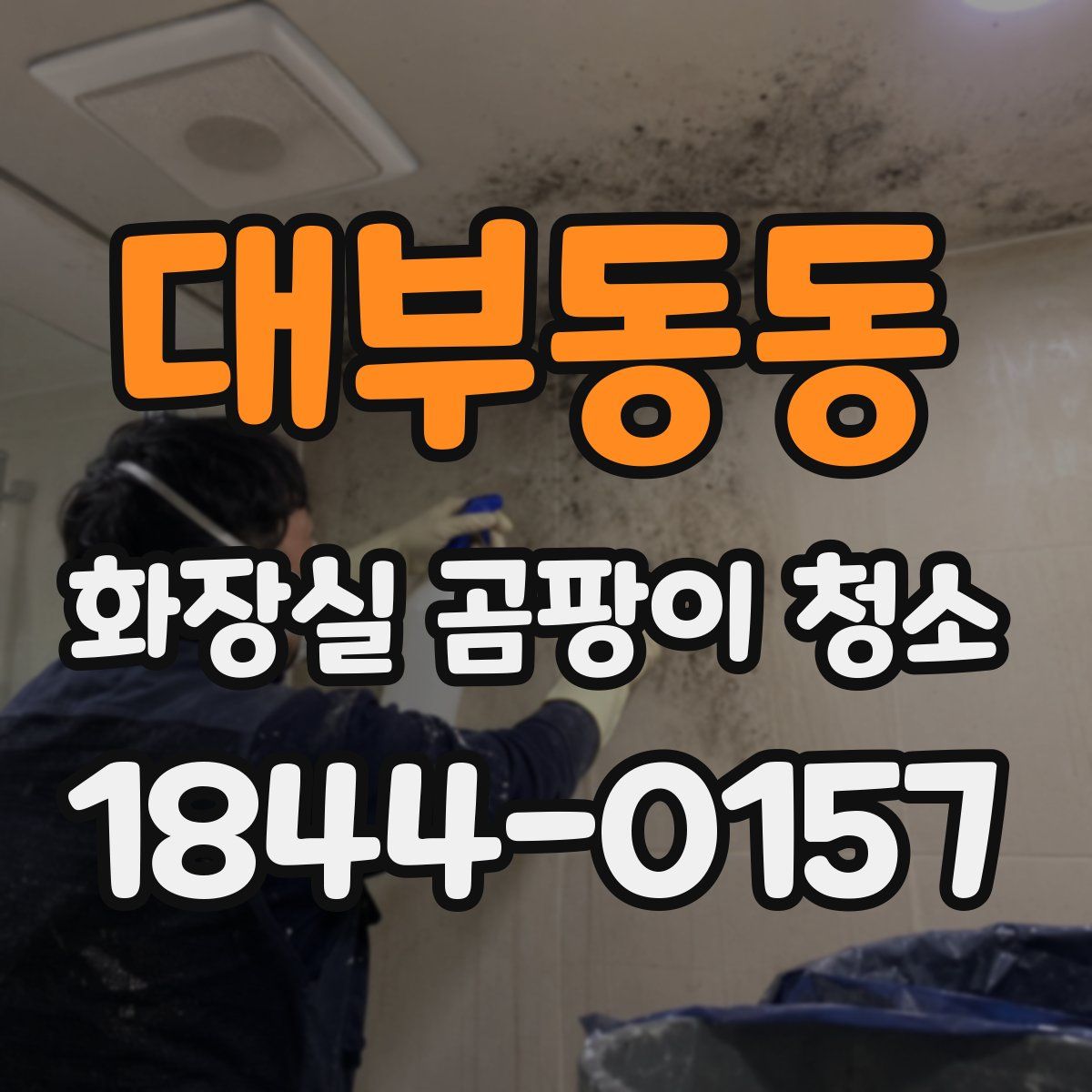 대부동동 화장실 곰팡이 청소